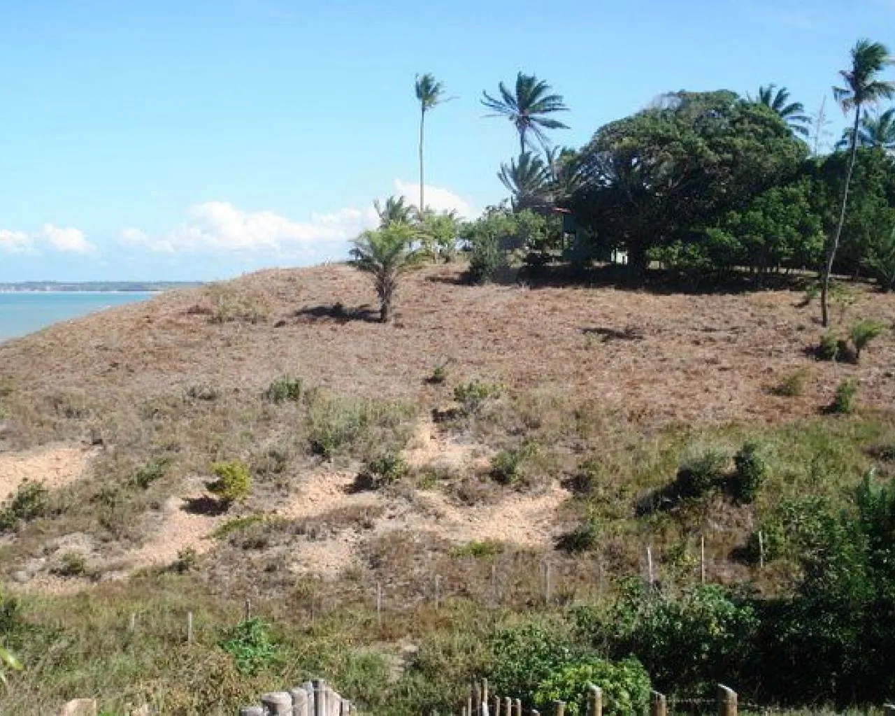 Área na praia / Cumuruxatiba Bahia
