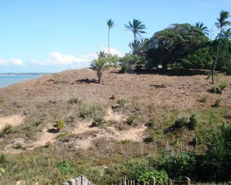 Área na praia / Cumuruxatiba Bahia