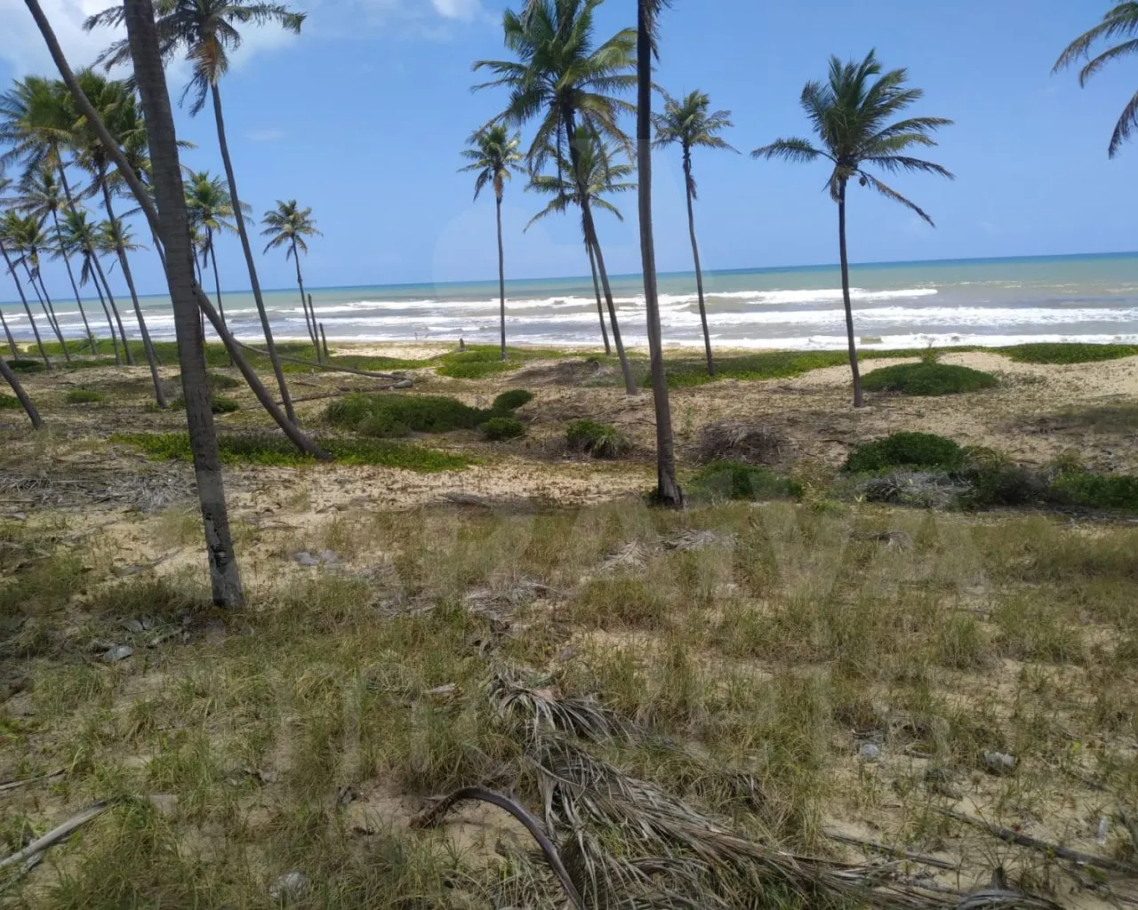 Área de praia / na região da Linha Verde