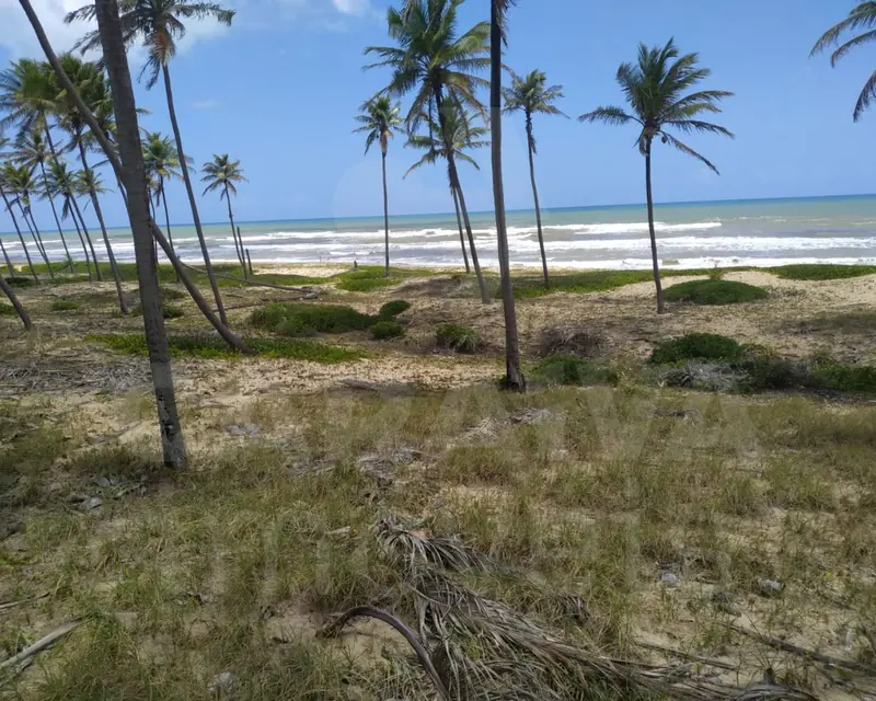 Área de praia / na região da Linha Verde